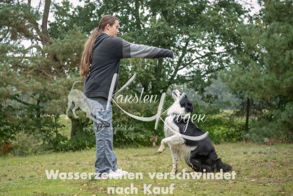 1108_ZZ93696-Bearbeitet | kk-dogfotos
