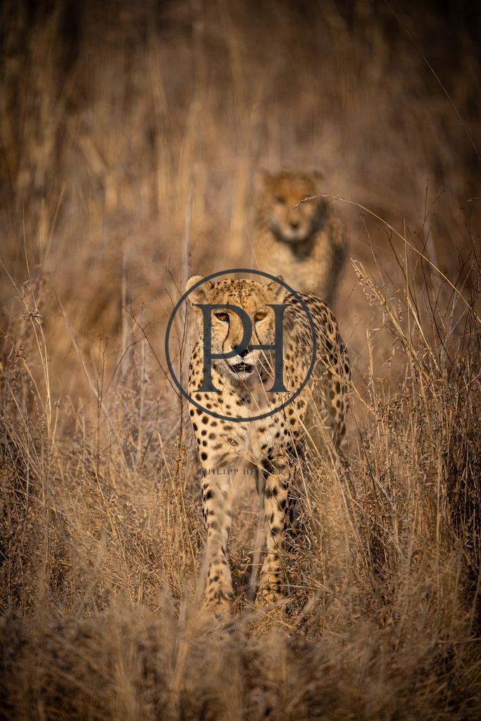 DSC09290 | Philipp-Heist - Realisiert mit Pictrs.com