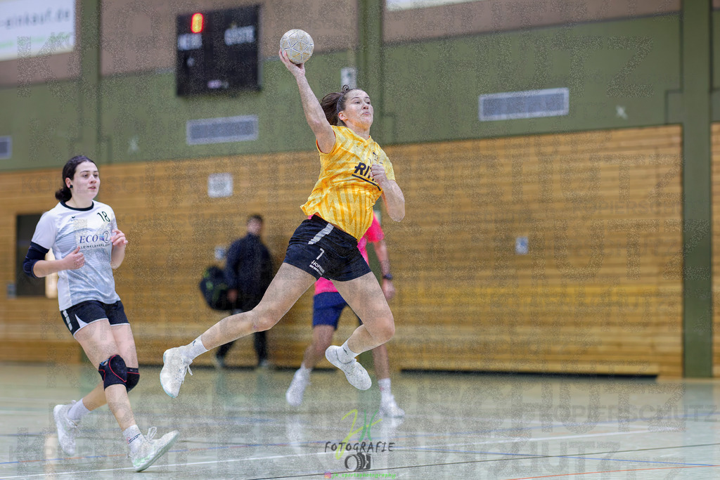 Frauen Oberliga Mitte (HHV); HSG Eibelshausen/Ewersbach - HSG Linden | Frauen Oberliga Mitte (HHV); HSG Eibelshausen/Ewersbach - HSG Linden am 15.11.2025 in Eibelshausen (Holderberghalle)Photo © 2025 - Jörg Heinrich - Realisiert mit Pictrs.com