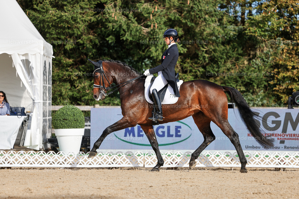 13-110-S___ -StoibPH-6941 | working equitationturnier fotograf videograf stoibphotography marixx film working equitation deutschland reitsport turnierfotografie eventfotografie equestrian events