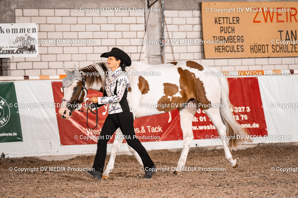 ZH200054 | dv-media-shop - Realisiert mit Pictrs.com