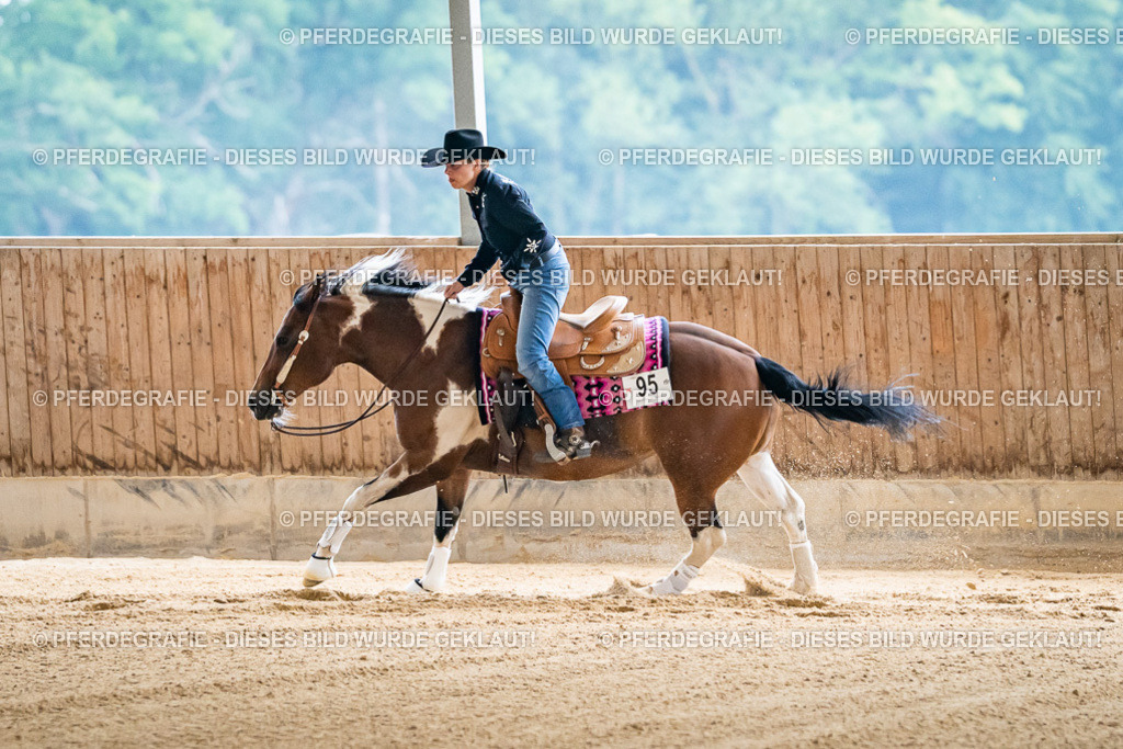 DSC06256 | Pferdegrafie