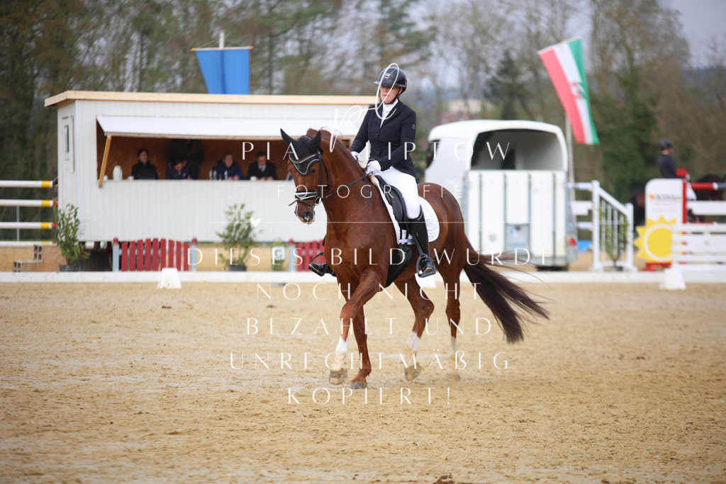 IMGT7595 | pl-fotografie