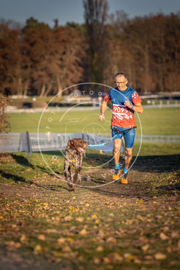 CaniXpix_DV3A4667 | Hundefotografie, Tierfotograf, Pfotenfotografie, Fotoshooting Hund, Hunde Portrait, Hundesport, Hundeportraits, Heideshooting, Hunde, Sportfotograf, Hundefotograf, Turnierhundsport, THS,  - Realisiert mit Pictrs.com
