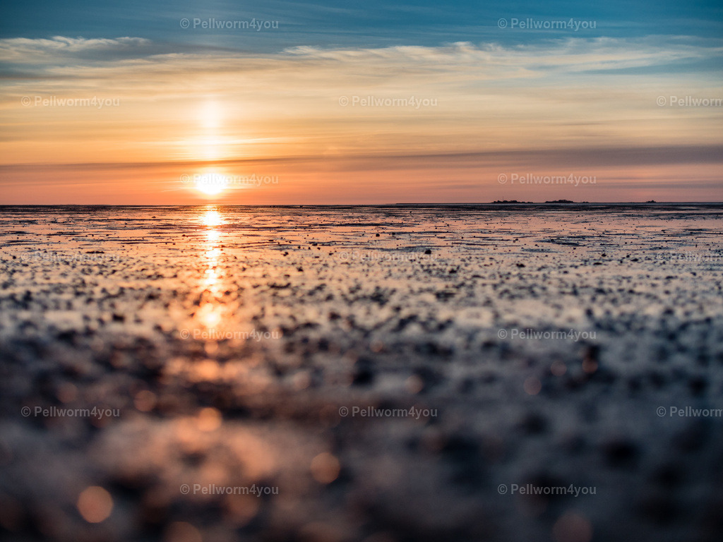 Pellworm-Pellworm-Wattenmeer_20150406-_4060744-_pictrs | Pellwormer Bilder und Fotos als Poster, auf Leinwand mit Keilrahmen, hinter Acrylglas, auf Alu-Dibond oder Forex-Platte und vieles mehr. Zum verschenken, für die Ferienwohnung oder für zu Hause. - Realisiert mit Pictrs.com
