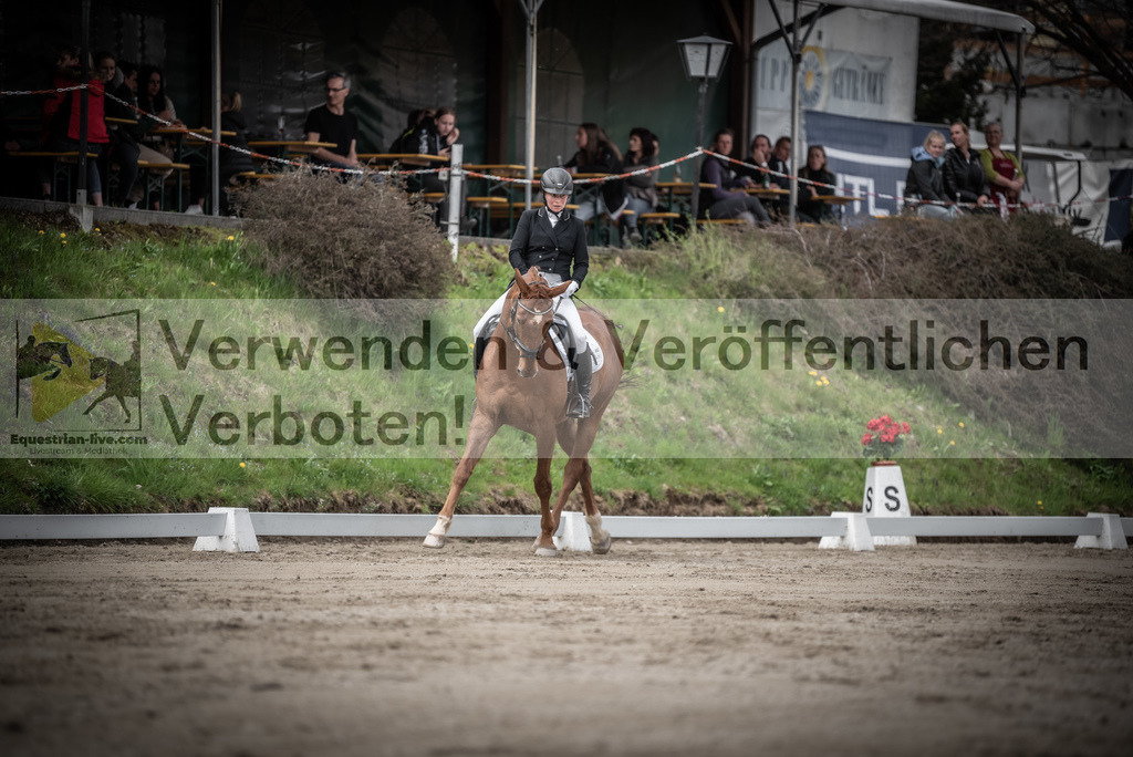 DSC_2490 | equestrian-live-com