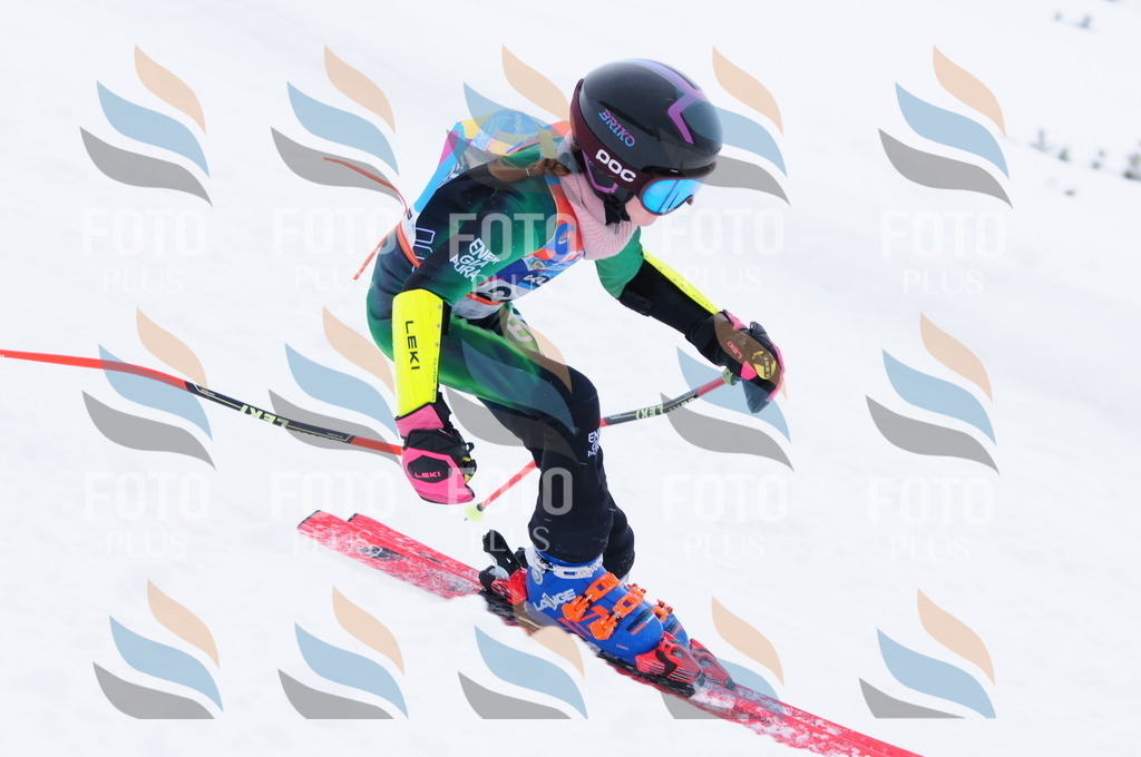 C2620 | holidayphoto