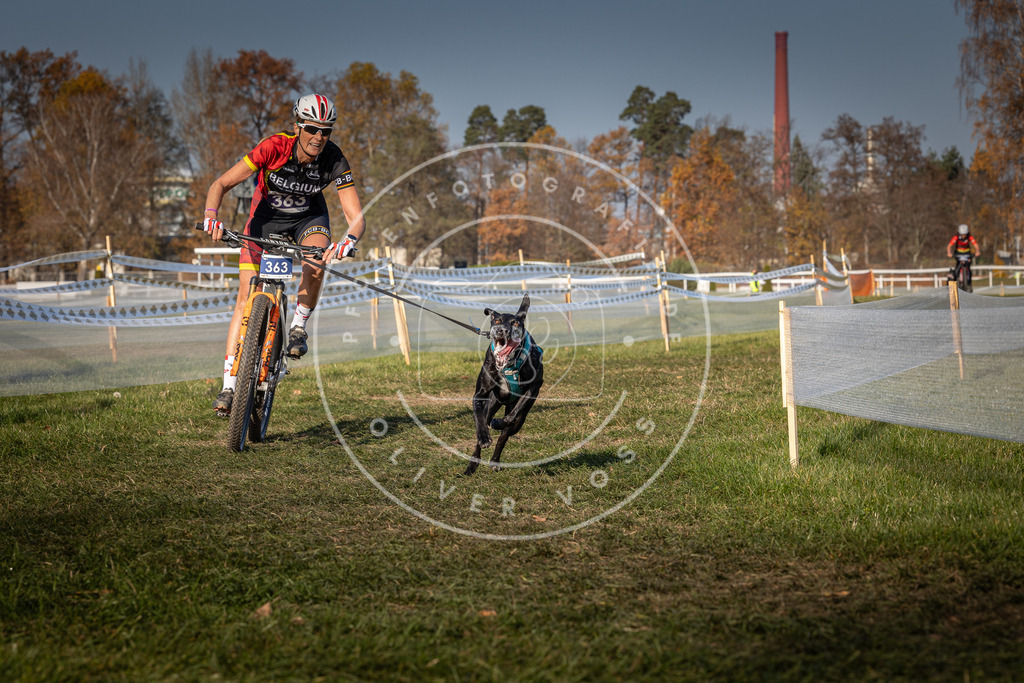 CaniXpix_0L8A6837 | Hundefotografie, Tierfotograf, Pfotenfotografie, Fotoshooting Hund, Hunde Portrait, Hundesport, Hundeportraits, Heideshooting, Hunde, Sportfotograf, Hundefotograf, Turnierhundsport, THS,  - Realisiert mit Pictrs.com