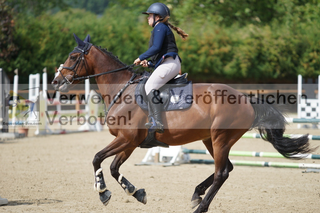 DSC06520 | equestrian-live-com