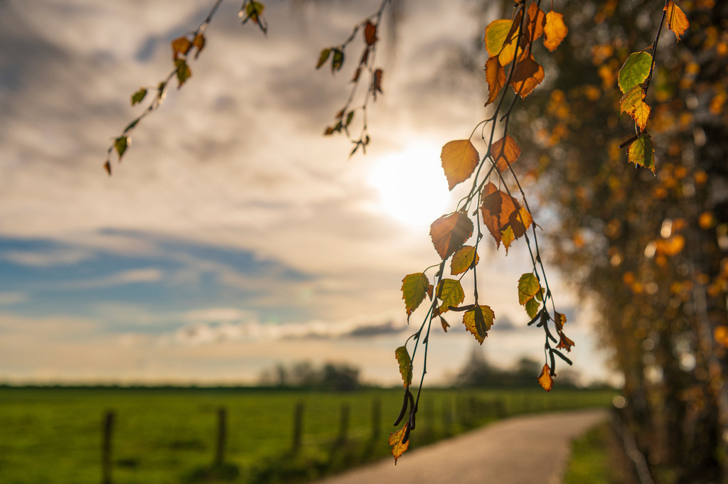2022_11_19_SH-HETLINGER-SCHANZE_MCP5818 | Hochwertig gedruckte Fotografien für die Wand, als Kalender und zum Verschenken. Hamburg & Norddeutschland und überall wo ich mit der Kamera unterwegs war.