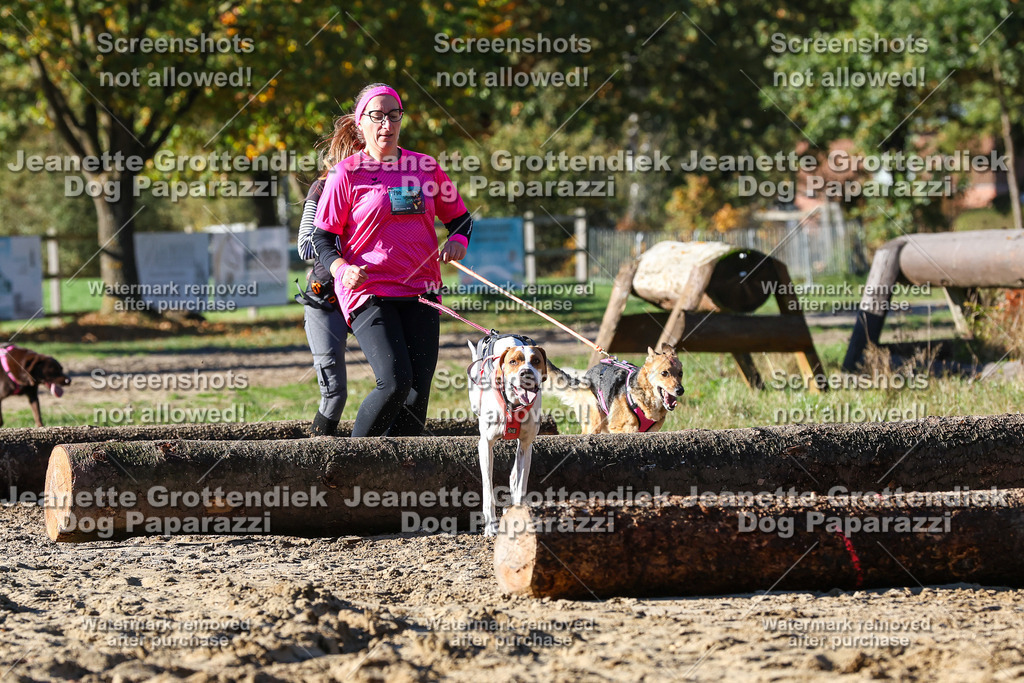 Dog Paparazzi - Strongdog 10-25-1939 | Dog Paparazzi Jeanette Grottendiek Fotografie & Videografie - Realisiert mit Pictrs.com