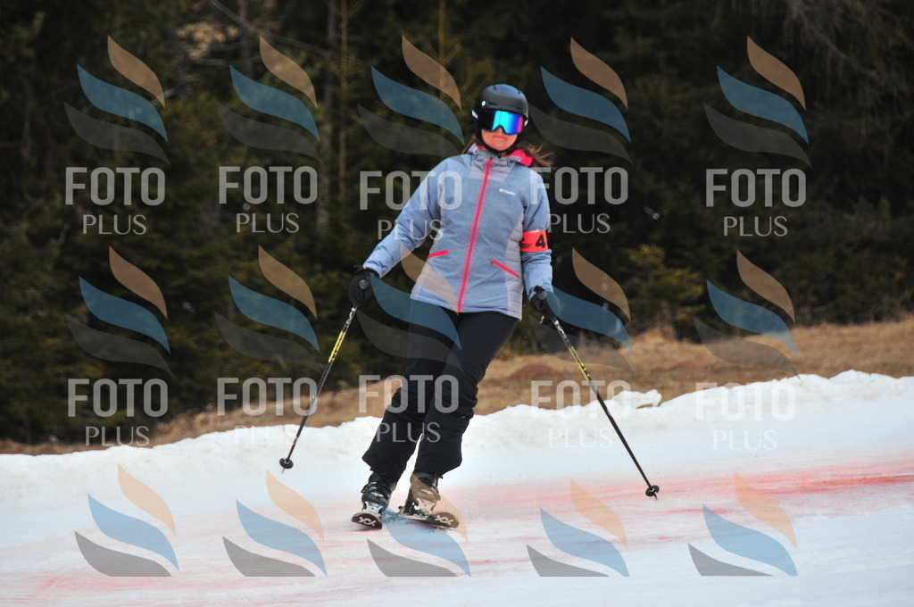 C1039 | holidayphoto