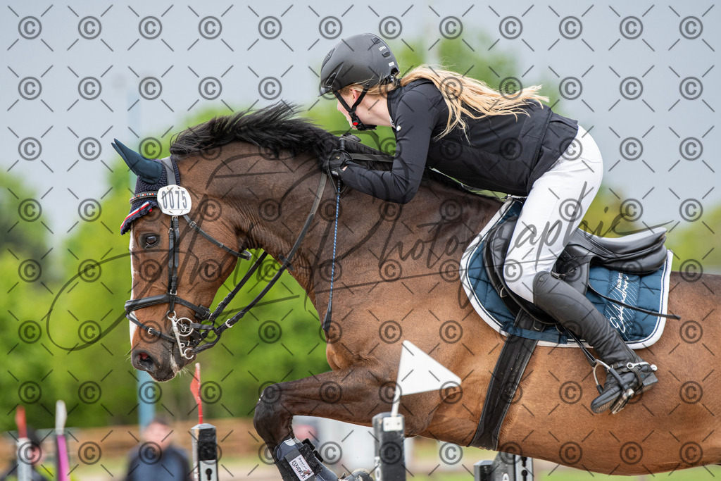 KPT_0279 | andre_photographic