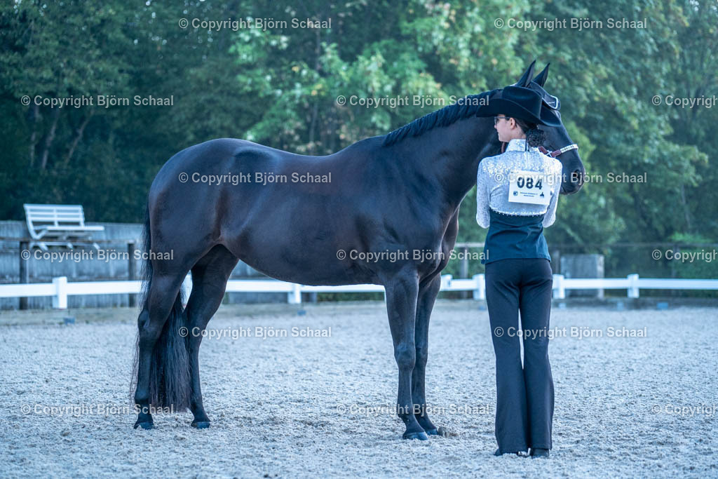 HOB07583 | BS-foto