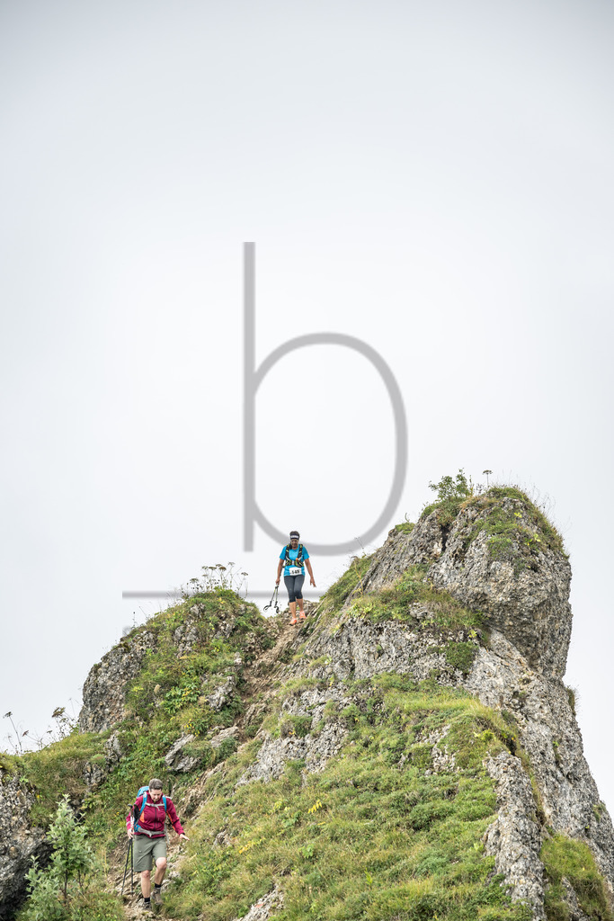 36. Gebirgsmarathon | Immenstadt, 23.08.2025 - 36. Gebirgsmarathon im Naturpark Nagelfluhkette. Einer der anspruchsvollsten​und ältesten Bergläufe​Deutschlands.Foto: Dominik Berchtold/www.dberchtold.com