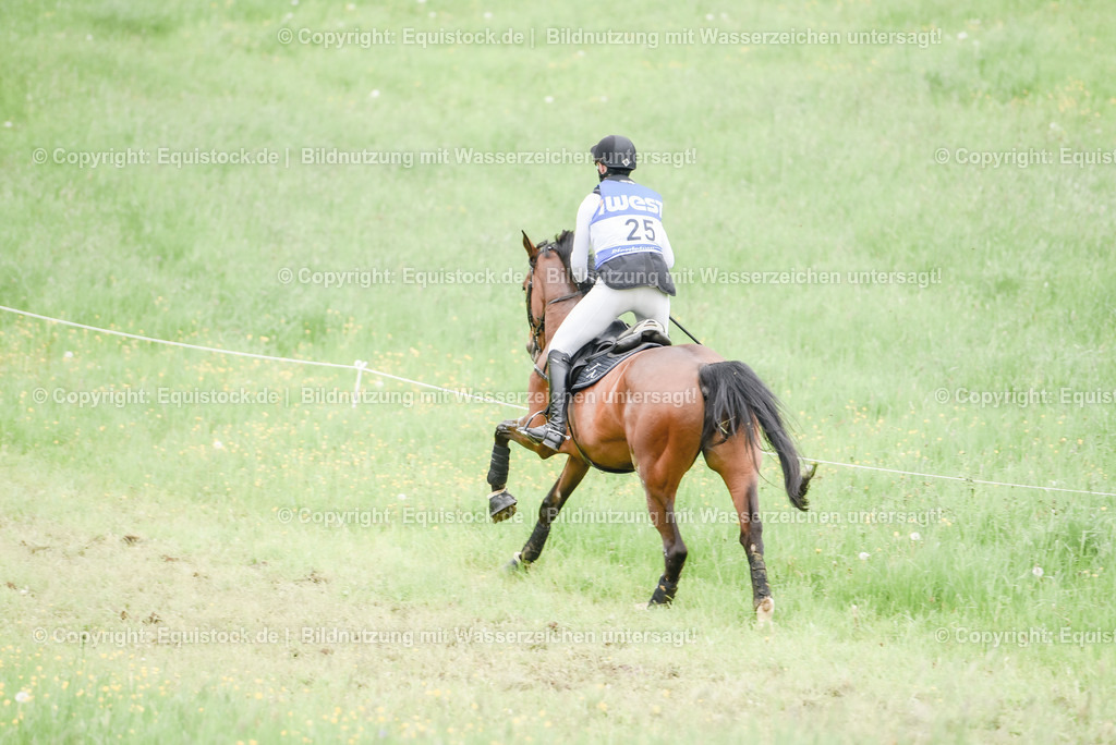 20230513_CCI4_Gelände_0323 | equistock