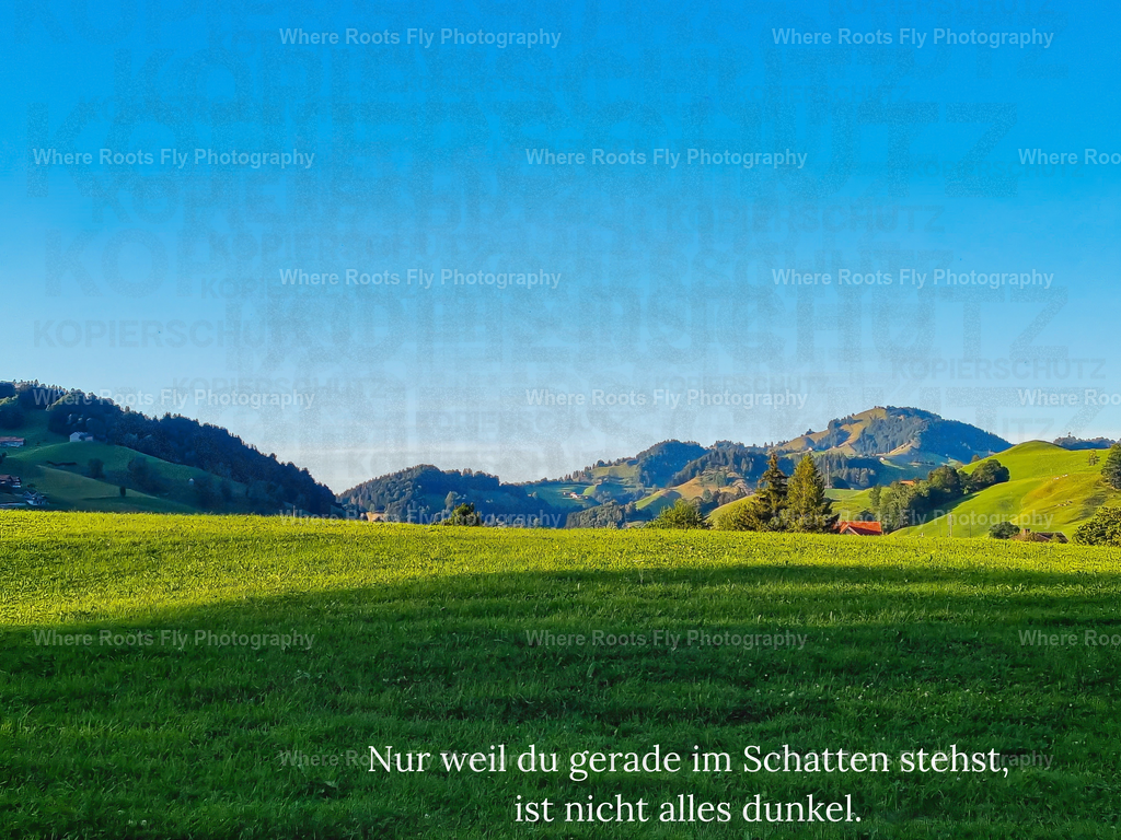 Affirmationskarten - 1 | mtkfoto_ - Realisiert mit Pictrs.com