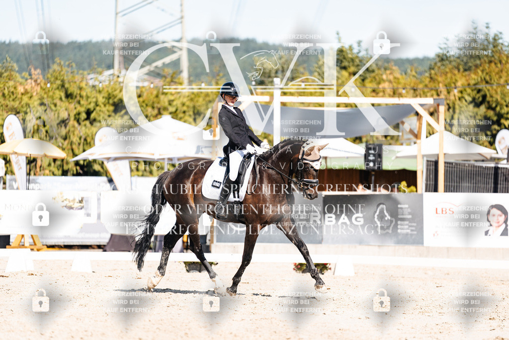CK908392 | Turnierfotografie Pferdefotografie Trier Rheinland-Pfalz Pferdesport Reitsport Tierfotografie Sportfotografie Pferdevideo Pferdevideografie Equestrianvideography equestrianphotography  - Realisiert mit Pictrs.com