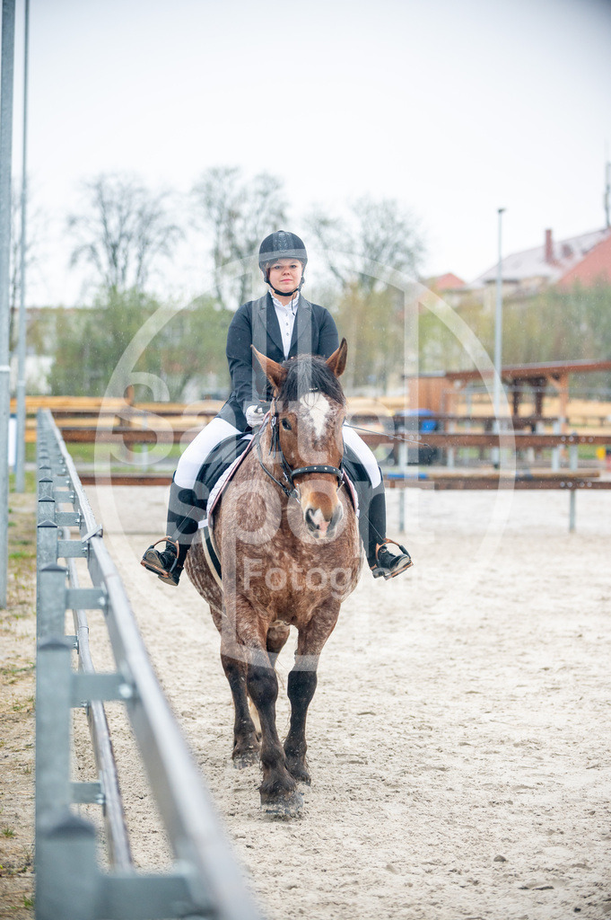 DSC_4843 | sattelsport - Realisiert mit Pictrs.com