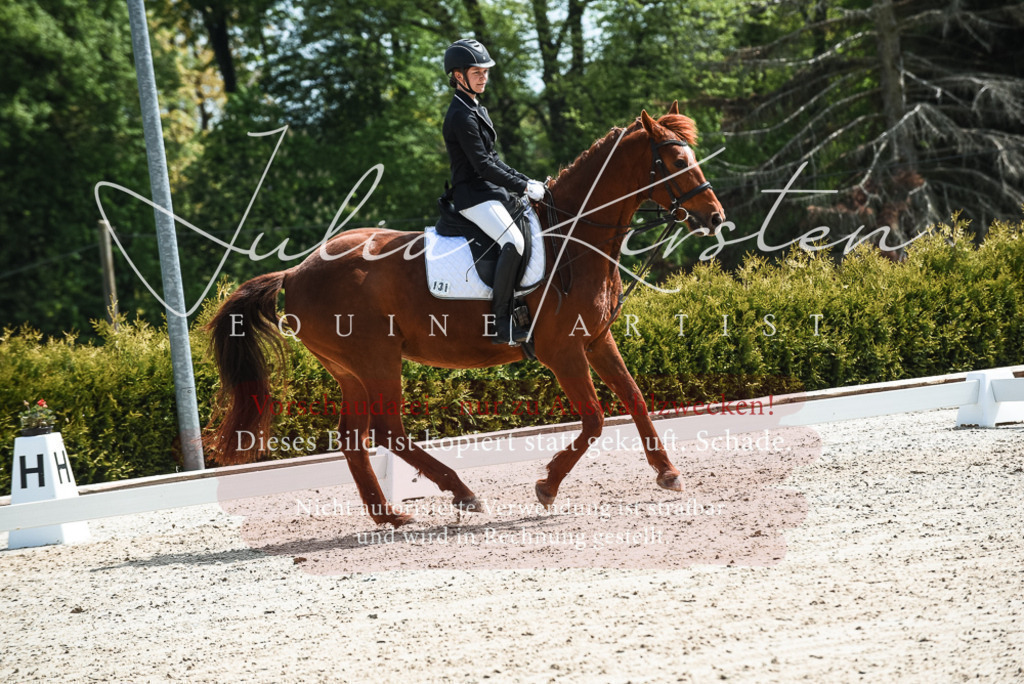 20230518_JK-Röhrsdorf-11-0453 | Pferde- und Turnierfotografie in Westsachsen. Pferdeportraits, Auftragszeichnungen und intuitive Kunst.