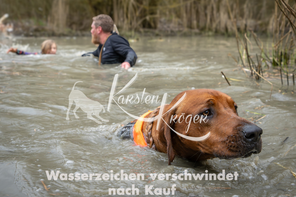 1402_ZZ95649 | kk-dogfotos
