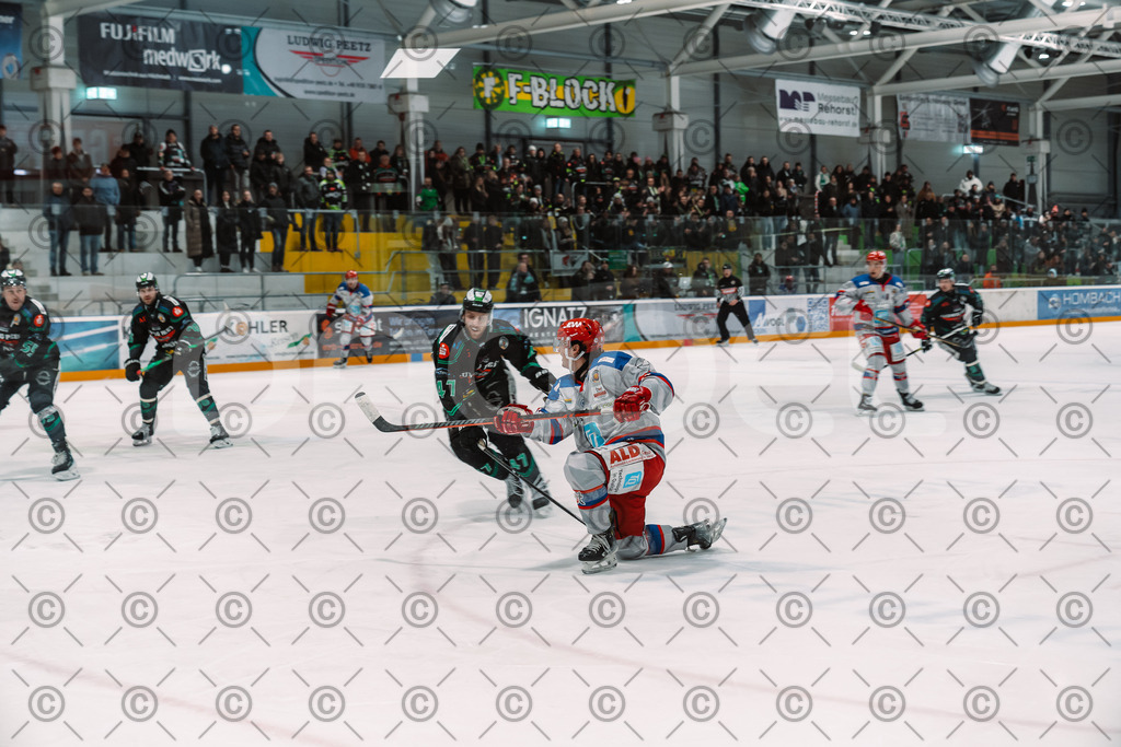 Alligators_vs_Peiting_25_11_2025-39 | Höchstadt Alligators Fotogalerie: Eishockey-Action aus Franken. Professionelle Spielfotos, Portraits & Stadionbilder zum Download. Jetzt entdecken! - Realisiert mit Pictrs.com
