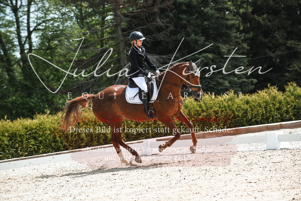 20230518_JK-Röhrsdorf-11-0295 | Pferde- und Turnierfotografie in Westsachsen. Pferdeportraits, Auftragszeichnungen und intuitive Kunst.
