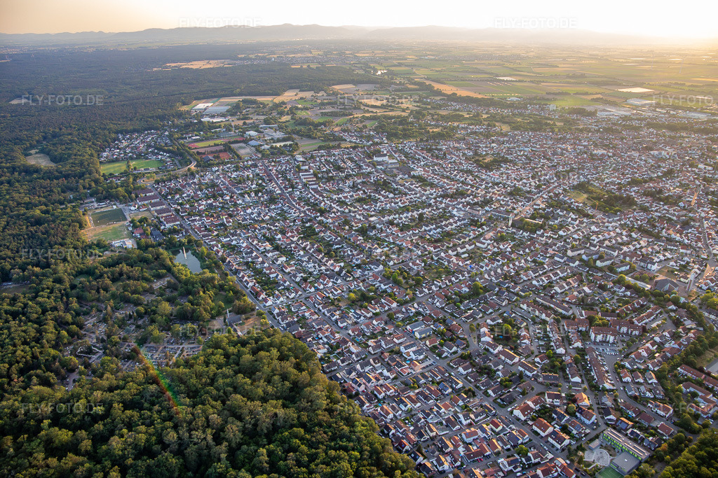 Luftbild: Ortsansicht von Osten in Schifferstadt im Bundesland Rheinland-Pfalz in Deutschland. Foto: IMG_137236.jpg vom 24.06.2023 durch Werner Riehm/FLY-FOTO.de