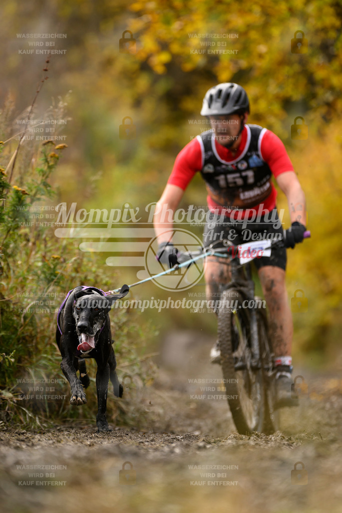 MompixPhotography_ICF_WC_2024_SA_Bike_-218 | PayLife