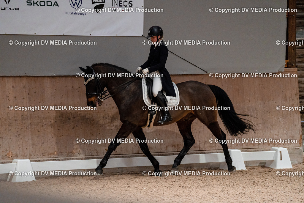 Dressur Tag 2-658 | dv-media-shop - Realisiert mit Pictrs.com