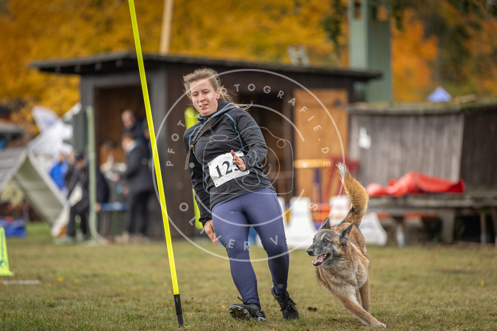 Pfotenfotografie_DV3A6661 | Hundefotografie, Tierfotograf, Pfotenfotografie, Fotoshooting Hund, Hunde Portrait, Hundesport, Hundeportraits, Heideshooting, Hunde, Sportfotograf, Hundefotograf, Turnierhundsport, THS,  - Realisiert mit Pictrs.com