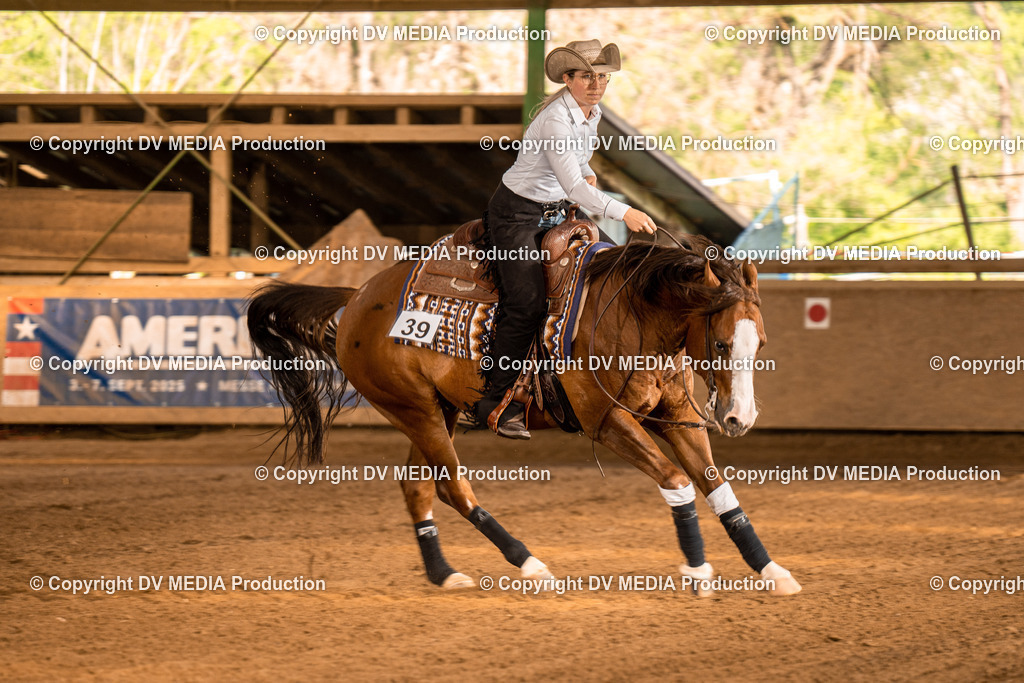 Balingen Tag 5-0997 | dv-media-shop - Realisiert mit Pictrs.com