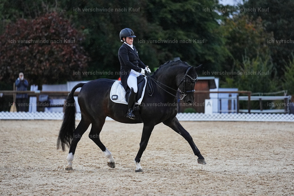 8_2-183-DRESSUR S_  -Marixx-4642 | working equitationturnier fotograf videograf stoibphotography marixx film working equitation deutschland reitsport turnierfotografie eventfotografie equestrian events