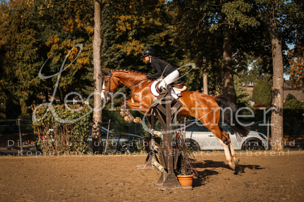 09.SaSpA200048 | Leoni Ertmer Photography - Realisiert mit Pictrs.com