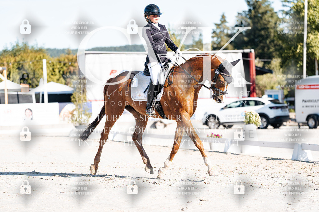 CK907231 | Turnierfotografie Pferdefotografie Trier Rheinland-Pfalz Pferdesport Reitsport Tierfotografie Sportfotografie Pferdevideo Pferdevideografie Equestrianvideography equestrianphotography  - Realisiert mit Pictrs.com