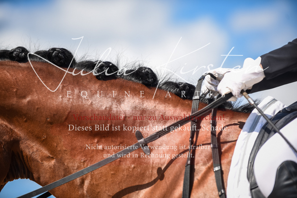 DSC_9486 | Pferde- und Turnierfotografie in Westsachsen. Pferdeportraits, Auftragszeichnungen und intuitive Kunst.