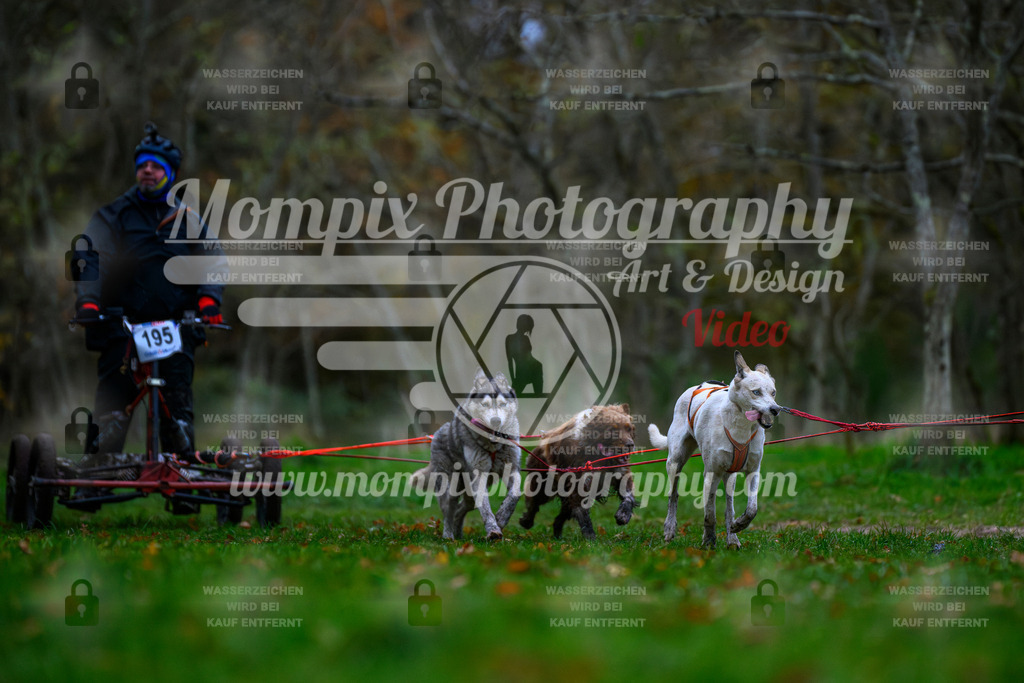MompixPhotography_Bischwiller24_SA_Kart-19 | PayLife