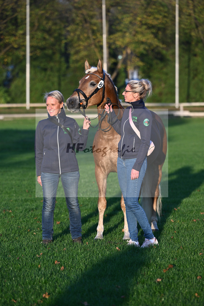 Kat-Nr. 8 Eiswind_Sendig Gestuet Meura_44241248 | hf-fotografie - Realisiert mit Pictrs.com