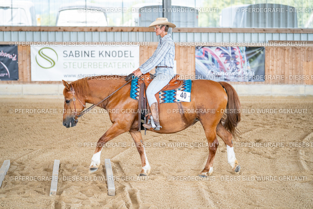 DSC02387 | Pferdegrafie