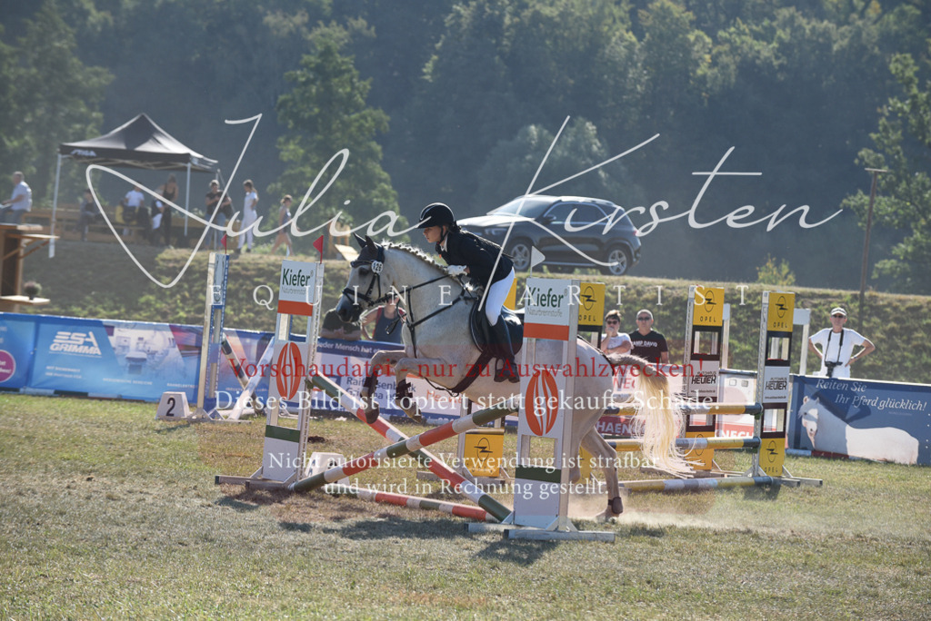 DSC_5863 | Pferde- und Turnierfotografie in Westsachsen. Pferdeportraits, Auftragszeichnungen und intuitive Kunst.