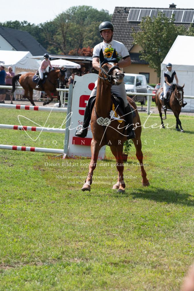 DSC_0686 | Pferde- und Turnierfotografie in Westsachsen. Pferdeportraits, Auftragszeichnungen und intuitive Kunst.