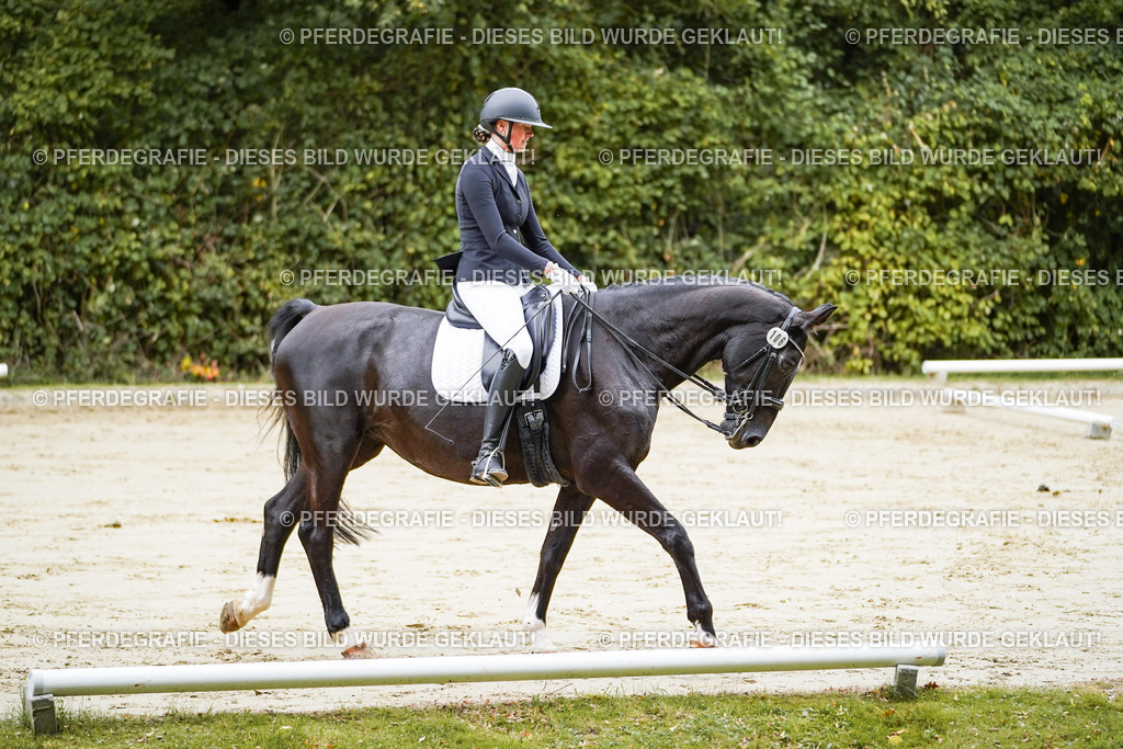 DSC08325 | Pferdegrafie