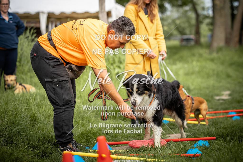 nelerasche_So-earlydog_57 | nelerasche