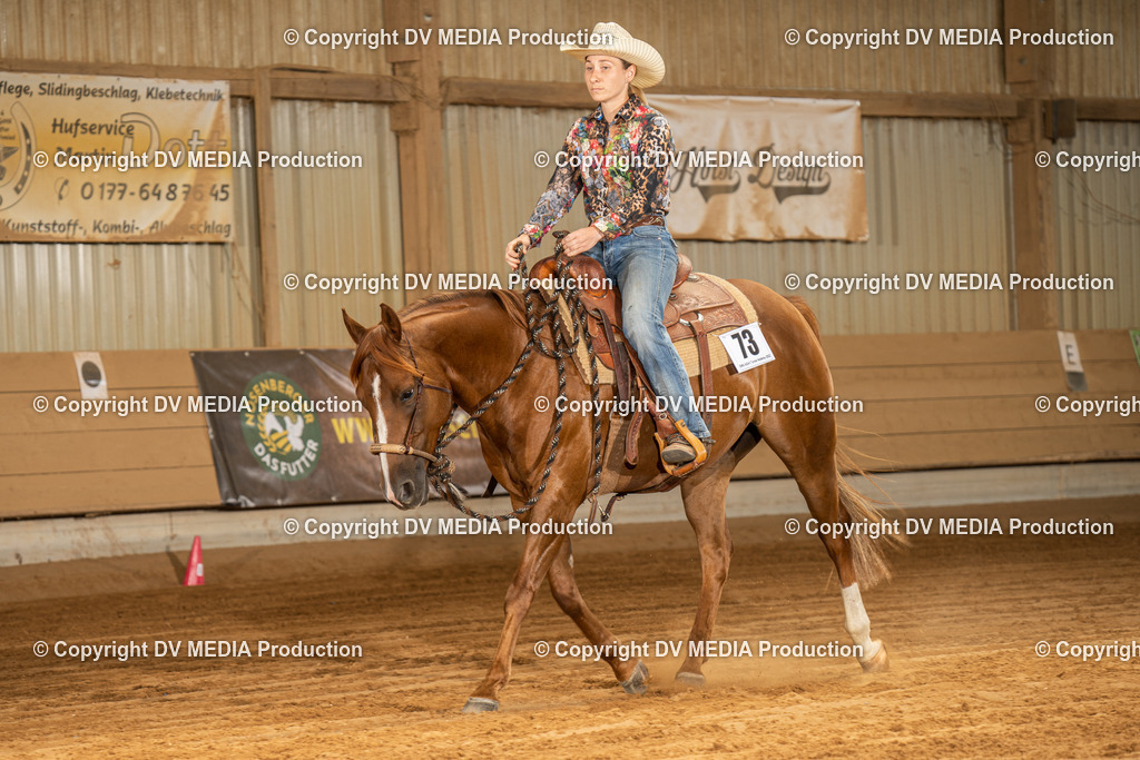 NID03231 | dv-media-shop - Realisiert mit Pictrs.com