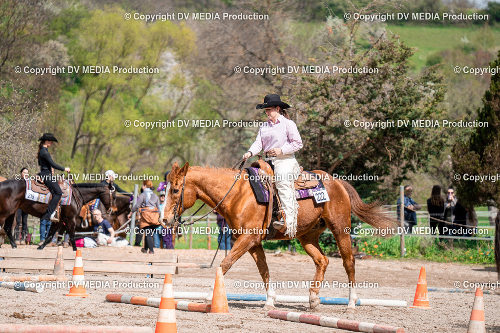 BAL02458 | dv-media-shop - Realisiert mit Pictrs.com