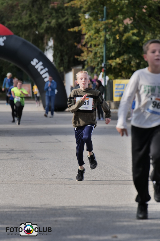 D (499) | Foto Buchgraber