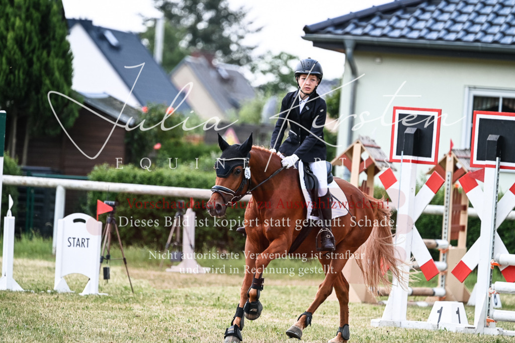 DSC_9061 | Pferde- und Turnierfotografie in Westsachsen. Pferdeportraits, Auftragszeichnungen und intuitive Kunst.