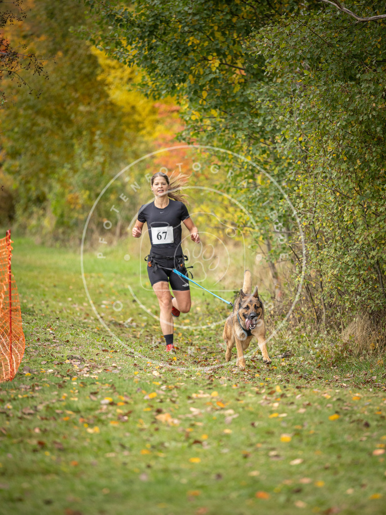 Pfotenfotografie_DV3A2754 | Hundefotografie, Tierfotograf, Pfotenfotografie, Fotoshooting Hund, Hunde Portrait, Hundesport, Hundeportraits, Heideshooting, Hunde, Sportfotograf, Hundefotograf, Turnierhundsport, THS,  - Realisiert mit Pictrs.com