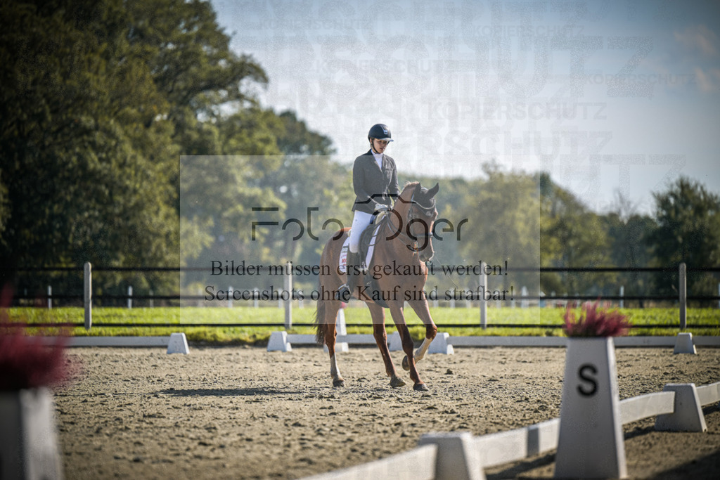 DOS_3328 | Entdecke hochwertige Reitturnierfotos von Foto Oger. Professionell, emotional und authentisch – jetzt Lieblingsmomente im Shop bestellen.Deutschlandweite Turnierfotografie. - Realisiert mit Pictrs.com