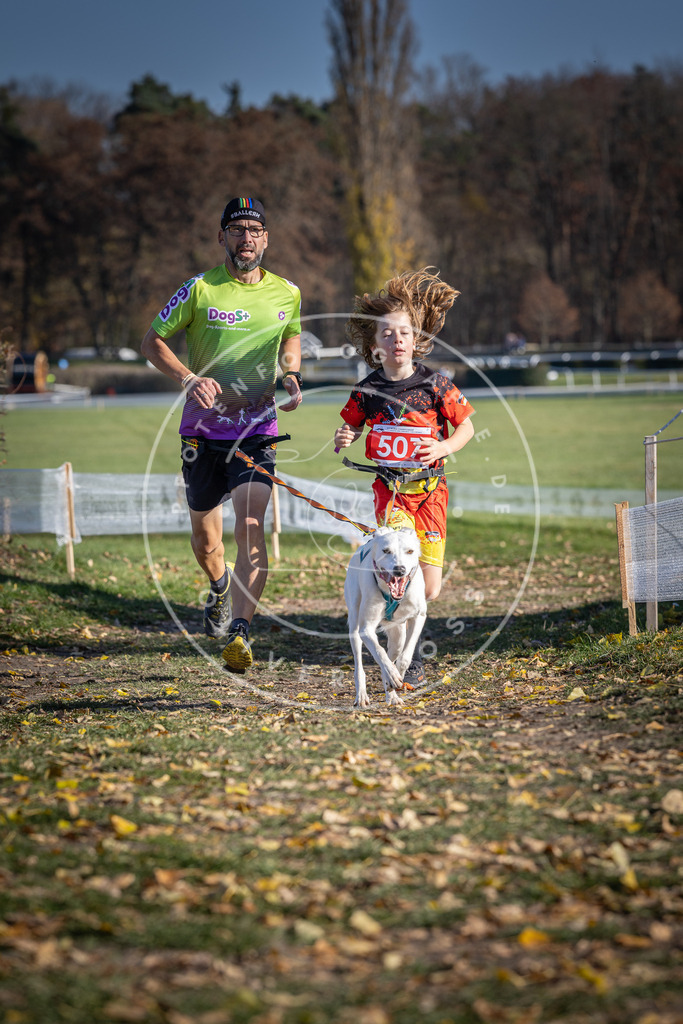 CaniXpix_DV3A7900 | Hundefotografie, Tierfotograf, Pfotenfotografie, Fotoshooting Hund, Hunde Portrait, Hundesport, Hundeportraits, Heideshooting, Hunde, Sportfotograf, Hundefotograf, Turnierhundsport, THS,  - Realisiert mit Pictrs.com
